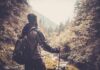 How Nature Crashes Isolation Effects A hiker standing in a forest, looking at a scenic view of mountains and trees
