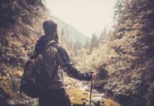 How Nature Crashes Isolation Effects A hiker standing in a forest, looking at a scenic view of mountains and trees