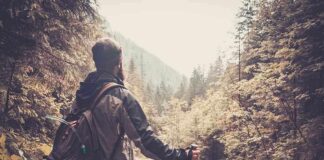 A hiker standing in a forest, looking at a scenic view of mountains and trees