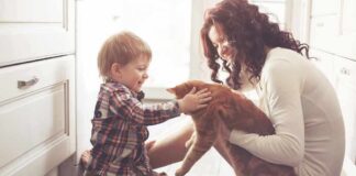 toddler petting orange cat held by woman on kitchen floor