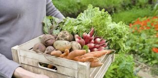 Person holding a wooden crate of freshly harvested vegetables