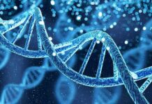 Wheelchair To Walk: Gene Hack Stuns DNA double helix with glowing particles